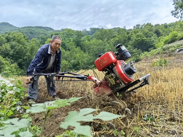 陕西烟草：立足本业优势 持续助力乡村振兴