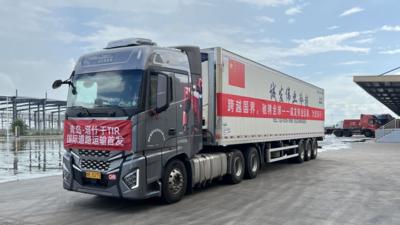 货物进入中亚有了新通道！ 青岛开通中吉乌TIR运输新路径