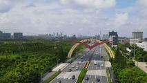 Shanghai FTZ's Lin-gang Special Area forges ahead with opening-up, innovation