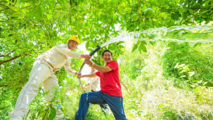 State Grid Chongqing Branch ensures irrigation electricity for regional pomelo orchards