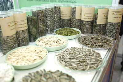 哈萨克斯坦—中国商品展览会开幕