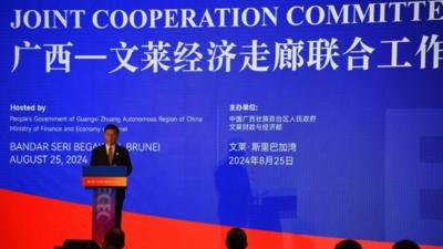 中国广西与文莱合作助推东盟区域产业对接