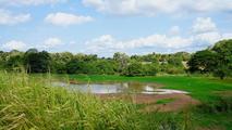 China's canal of water flows into heart of Sri Lankan people