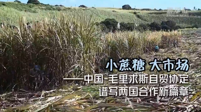 中非合作论坛｜小蔗糖、大市场——中国-毛里求斯自贸协定谱写两国合作新篇章