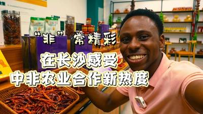 洋洋大观 | “非”常精彩·在长沙感受中非农业合作新热度