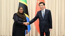 (FOCAC) China's top political advisor meets Tanzanian president