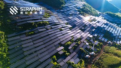 776MW！赛拉弗创新赋能云南光伏高质量发展