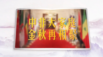 视频画报｜中非大家庭 金秋再相聚