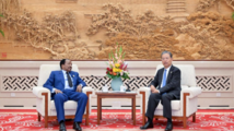 (FOCAC) China's top legislator meets Cameroonian president