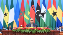 (FOCAC) Africa-China partnership based on sharing of visions -- Mauritanian president