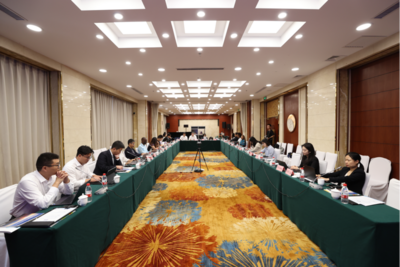 专家：“小而美”融资模式将助力非洲绿色出行
