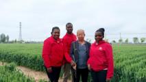 (FOCAC) Sci-tech backyard mirrors deepening Sino-African agricultural cooperation
