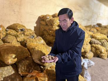 新春走基层·黄土地上的“大食物”∣一颗土豆的全产业链“革命”