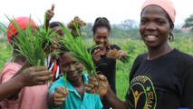 Across China: Chinese agricultural technology project boosts productivity in African countries