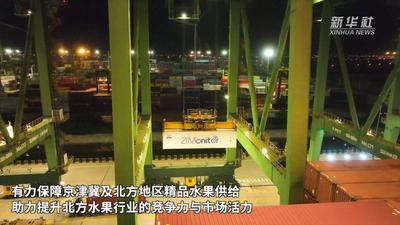 天津港迎来北方首批秘鲁进口蓝莓