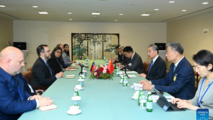 Chinese FM meets Venezuelan counterpart