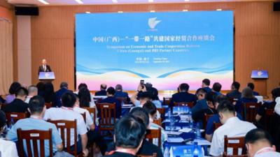 中国（广西）—“一带一路”共建国家经贸合作座谈会在南宁举行