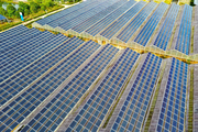 State Grid Fujian beefs up efforts to utilize photovoltaic power generation to propel agricultural green development