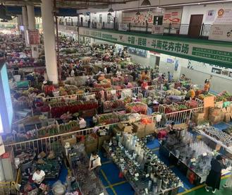 昆明呈贡区：看“鲜花经济”美丽绽放