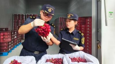 增长10.4%！四川前三季度货物贸易进出口成绩亮眼
