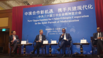 Ethiopian experts hail China's modernization path as crucial catalyst for global development