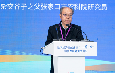 蓄力“一带一路” 建设 河北杂交谷子在非洲落地生“根”