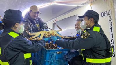我国首次通过陆路进口北冰洋活体帝王蟹