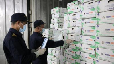 全国首票铁路进口越南鲜食椰子顺利通关