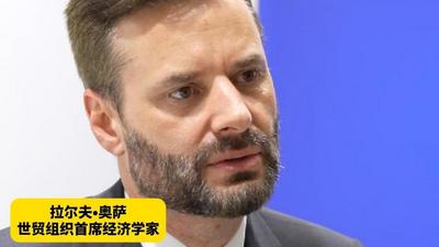 嘉宾话进博｜世贸组织首席经济学家：关注进口具有重要经济意义 中国仍是全球贸易增长动力