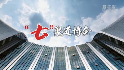 “七”聚进博会