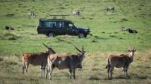 Kenya seeks to enhance ties with China in tourism, cultural sectors