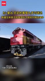 新疆生鲜首次搭乘国际冷链班列销往海外