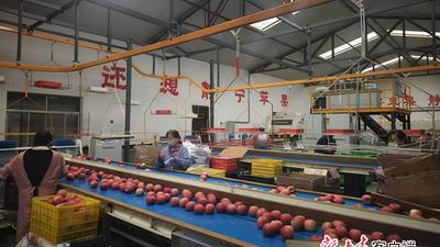 优服务 添活力 促增长——平凉海关助力平凉市外贸稳健发展