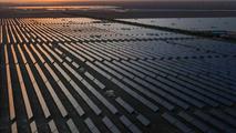 China Focus: Solar power offers diversified revenue for Chinese farmers