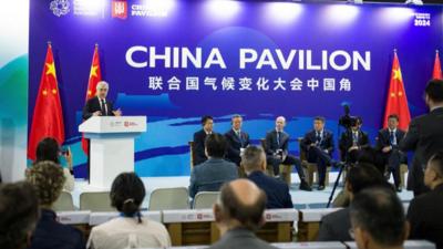 专访丨中国绿色产能使世界更清洁环保——访联合国前副秘书长索尔海姆