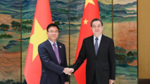 Chinese vice premier meets with Vietnamese deputy prime minister