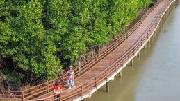 China-Thailand mangrove collaborative protection demonstration area unveiled in Thailand