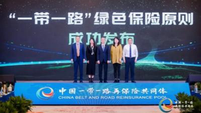 中国“一带一路”再保险共同体发布《“一带一路”绿色保险原则》