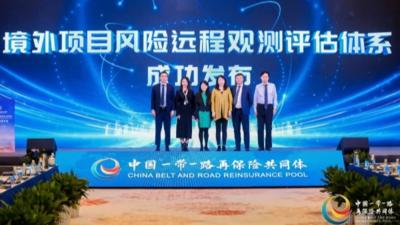 中国“一带一路”再保险共同体发布首套境外项目风险远程观测评估体系