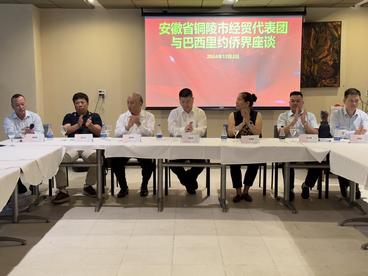 安徽省铜陵市经贸代表团与里约侨界座谈