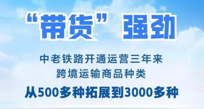 新华社权威快报丨从500多种到3000多种 中老铁路“带货”强劲