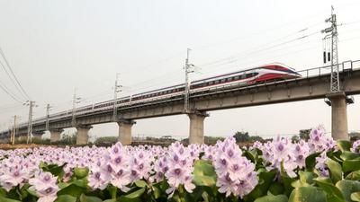 互联互通 共同发展——中老铁路铺就区域共同发展振兴之路