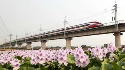 通讯｜中老员工“传帮带”为老挝铁路事业带来新生动力