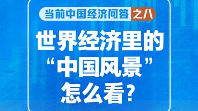 新华述评｜世界经济里的“中国风景”怎么看——当前中国经济问答之八