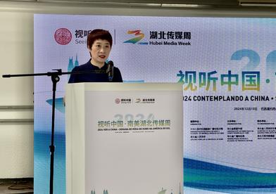 2024视听中国·南美湖北传媒周系列推介活动在里约举办