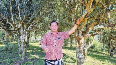 老挝人民革命党中央宣传部副部长、《人民报》总编辑万赛·塔维延：幸福路通联 媒体声远传