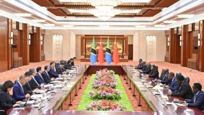 中非合作论坛｜习近平会见坦桑尼亚总统哈桑