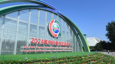 回答历史之问 共创历史伟业——中非为推动构建人类命运共同体树立典范