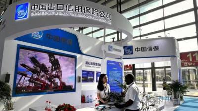 中国信保持续推动中非经贸合作