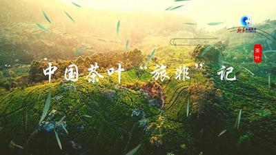 全球连线｜中国茶叶旅非记